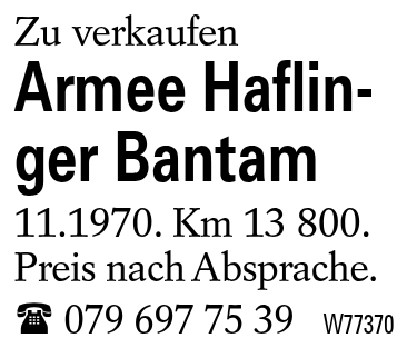 Armee Haflinger Bantam