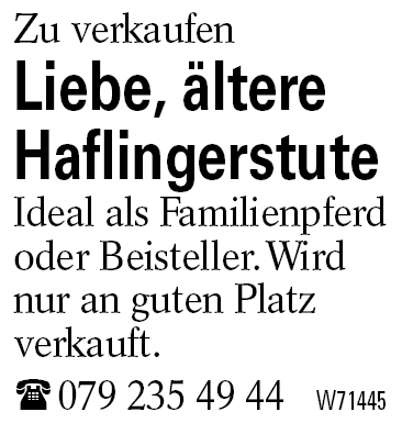 Liebe, ältere Haflingerstute