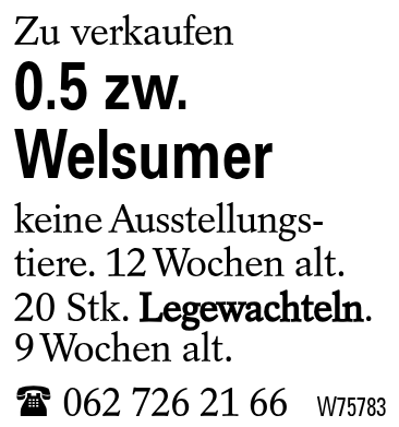 0.5 zw. Welsumer