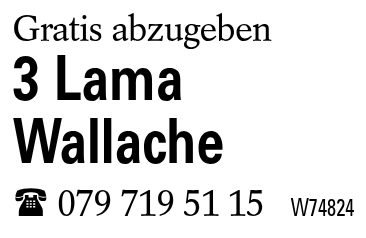 3 Lama Wallache