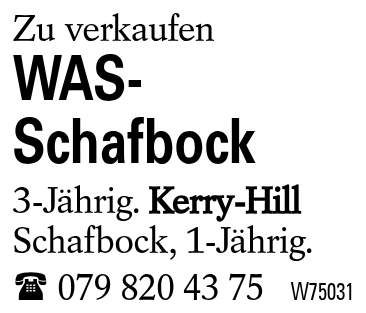 WAS-Schafbock
