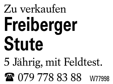 Freiberger Stute