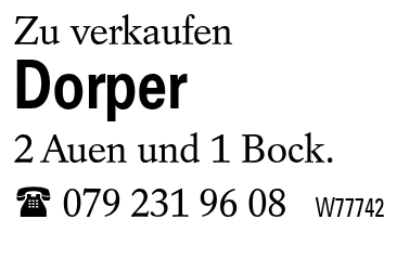 Dorper