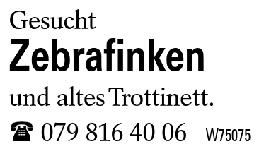 Zebrafinken