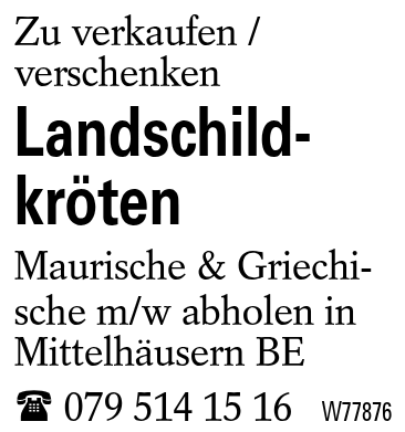 Landschildkröten