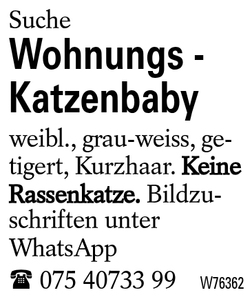 Wohnungs - Katzenbaby