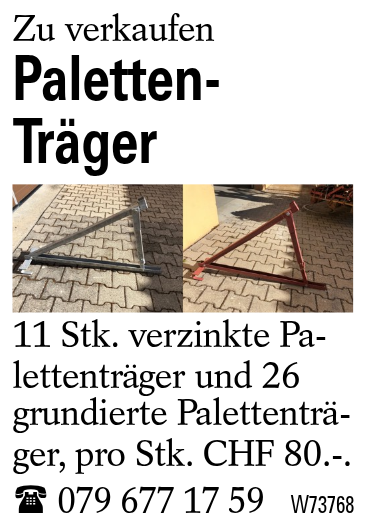 Paletten-Träger