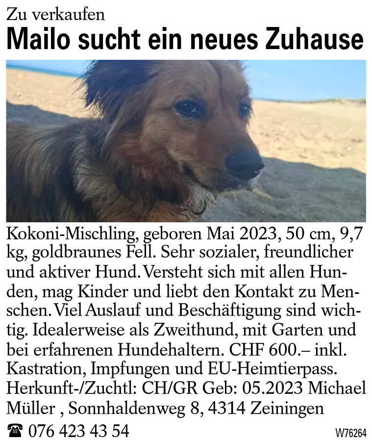 Mailo sucht ein neues Zuhause