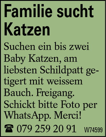 Familie sucht Katzen