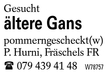 ältere Gans